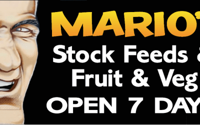 Mario’s Stock Feeds